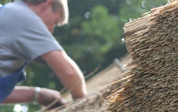 professional Trawscoed thatchers